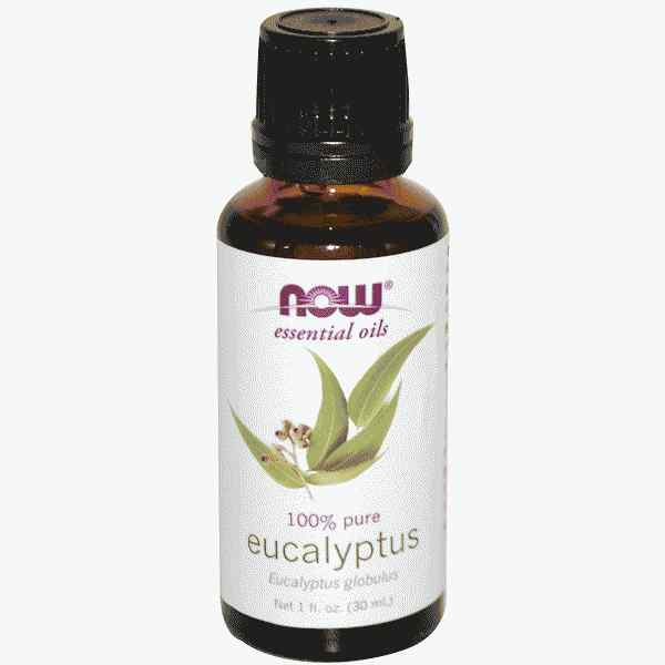 Now Foods, Esenciální oleje, Eukalyptus, 1 fl oz (30 ml)