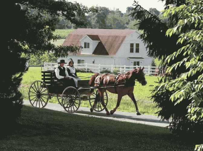 Amish Romance 101: Prečo by ste mali začať pre začiatočníkov